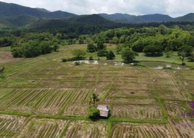 Beautiful 48 rai 3 ngan property with beautiful view of lakes and hills in a lovely, peaceful area only 30 min from Chiang Mai city.