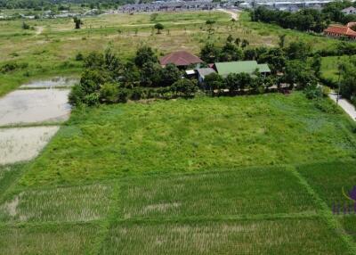 Land for sale 1 Rai 3 Ngan 65.9 Sqw at Nong Chom, Sansai ,Chiang Mai