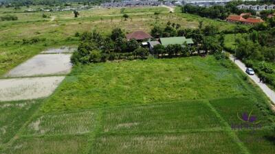 Land for sale 1 Rai 3 Ngan 65.9 Sqw at Nong Chom, Sansai ,Chiang Mai