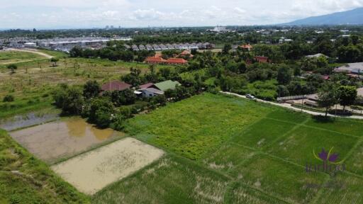 Land for sale 1 Rai 3 Ngan 65.9 Sqw at Nong Chom, Sansai ,Chiang Mai