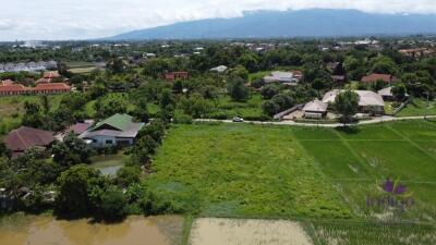 Land for sale 1 Rai 3 Ngan 65.9 Sqw at Nong Chom, Sansai ,Chiang Mai