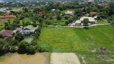 Land for sale 1 Rai 3 Ngan 65.9 Sqw at Nong Chom, Sansai ,Chiang Mai