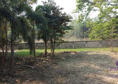 Lovely large 315 plot of land for sale in Sanpapao, Sansai, Chiang Mai