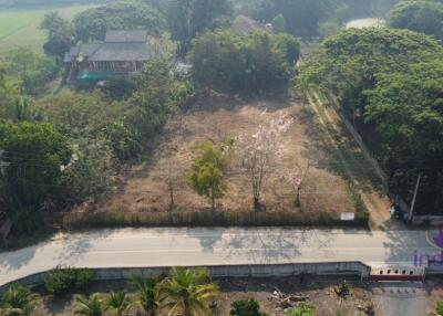 Lovely large 315 plot of land for sale in Sanpapao, Sansai, Chiang Mai