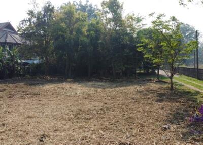 Lovely large 315 plot of land for sale in Sanpapao, Sansai, Chiang Mai