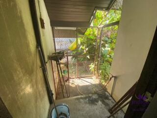 Renovations project! 3 Bedroom house  with a large yard for sale in San Kamphaeng