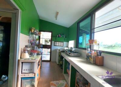 Very peaceful and quiet! Lovely 3 bedroom single storey home with a lovely and shady courtyard. Doi Saket, Chiang Mai.