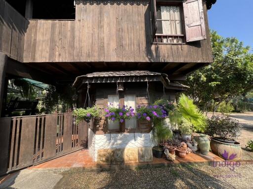 Beautiful Thai teak home on a 2 rai property in Doi Saket. Ideal for a homestay / bed and breakfast business.