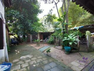 Beautiful Thai teak home on a 2 rai property in Doi Saket. Ideal for a homestay / bed and breakfast business.