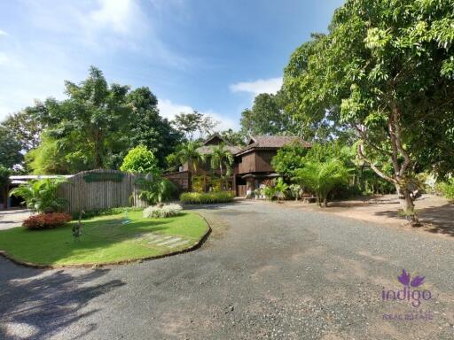 Beautiful Thai teak home on a 2 rai property in Doi Saket. Ideal for a homestay / bed and breakfast business.