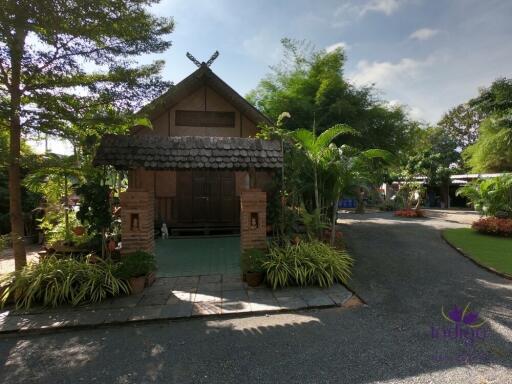 Beautiful Thai teak home on a 2 rai property in Doi Saket. Ideal for a homestay / bed and breakfast business.