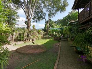 Beautiful Thai teak home on a 2 rai property in Doi Saket. Ideal for a homestay / bed and breakfast business.