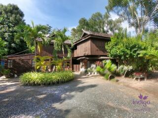 Beautiful Thai teak home on a 2 rai property in Doi Saket. Ideal for a homestay / bed and breakfast business.