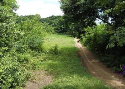 Land for sale in a semi-rural area in Doi Saket.  Only 3,000 baht/wah.