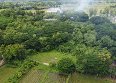 Land for sale in a semi-rural area in Doi Saket.  Only 3,000 baht/wah.