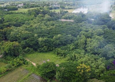 Land for sale in a semi-rural area in Doi Saket.  Only 3,000 baht/wah.