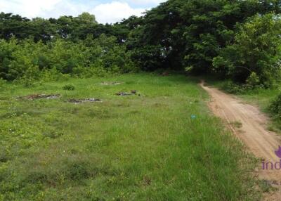 Land for sale in a semi-rural area in Doi Saket.  Only 3,000 baht/wah.