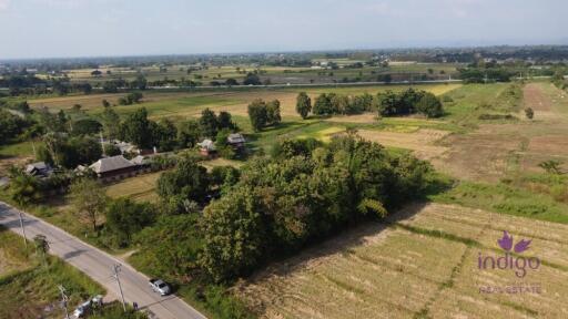 Lots of trees! Land for sale 1 Rai Buak kang Sankamphaeng Chiang Mai