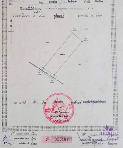 Lots of trees! Land for sale 1 Rai Buak kang Sankamphaeng Chiang Mai