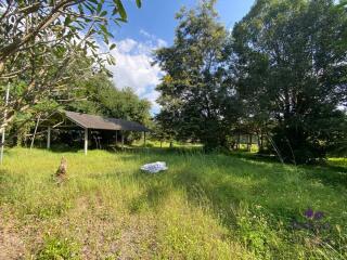 Large plot of land 2 rai 3 Ngan 3 sqw in a peaceful location in Mae On countryside, Sankampheang, Chiang Mai