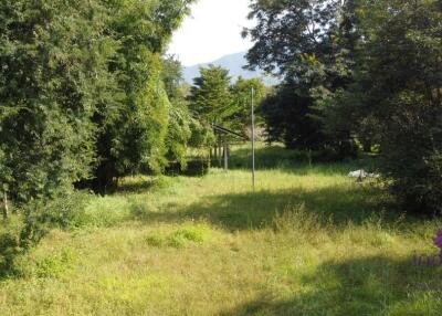 Large plot of land 2 rai 3 Ngan 3 sqw in a peaceful location in Mae On countryside, Sankampheang, Chiang Mai