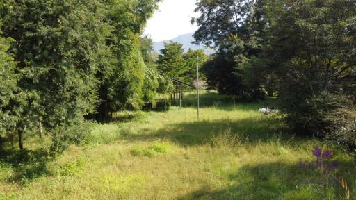 Large plot of land 2 rai 3 Ngan 3 sqw in a peaceful location in Mae On countryside, Sankampheang, Chiang Mai