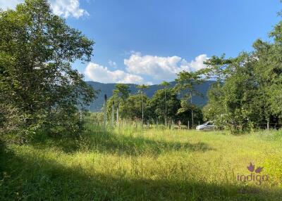 Large plot of land 2 rai 3 Ngan 3 sqw in a peaceful location in Mae On countryside, Sankampheang, Chiang Mai