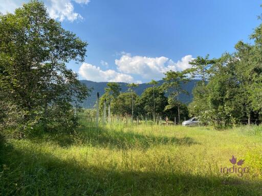 Large plot of land 2 rai 3 Ngan 3 sqw in a peaceful location in Mae On countryside, Sankampheang, Chiang Mai