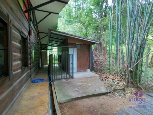 Beautiful Property with 2 houses with wonderful mountain and valley view in Sankampheng, Chiang Mai