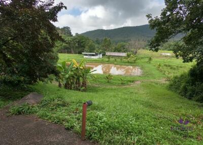 Beautiful Property with 2 houses with wonderful mountain and valley view in Sankampheng, Chiang Mai