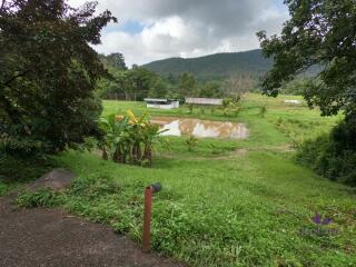 Beautiful Property with 2 houses with wonderful mountain and valley view in Sankampheng, Chiang Mai