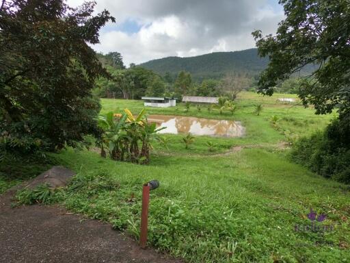 Beautiful Property with 2 houses with wonderful mountain and valley view in Sankampheng, Chiang Mai