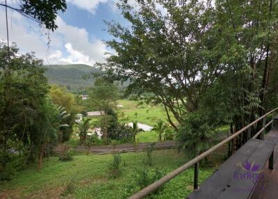 Beautiful Property with 2 houses with wonderful mountain and valley view in Sankampheng, Chiang Mai