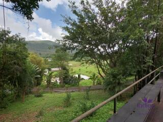 Beautiful Property with 2 houses with wonderful mountain and valley view in Sankampheng, Chiang Mai