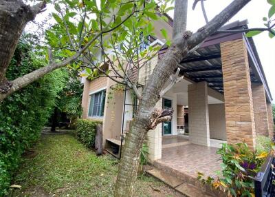 Lovely 3 bedroom well-maintained house in a family friendly community in San Kamphaeng