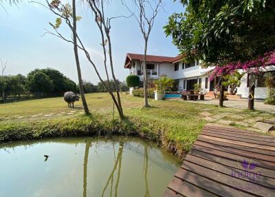 Large property on 4+ rai land for sale 6 bedrooms near Mae Jo University Sansai Chiangmai