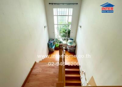 Staircase with wooden steps leading to a window with plants outside