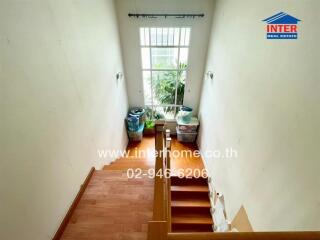 Staircase with wooden steps leading to a window with plants outside