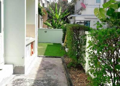 Side view of backyard with green lawn and hedges