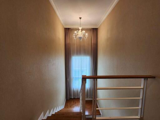 Staircase with chandelier and window