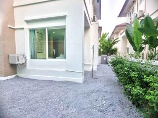 Side view of the house with plants and gravel pathway