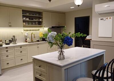 Modern kitchen with island and contemporary furnishings