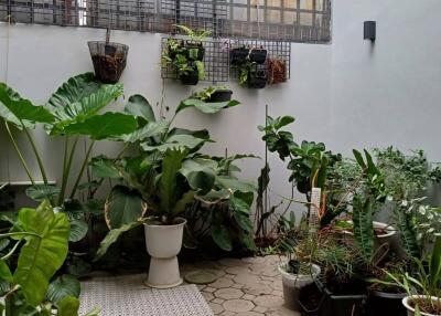 Outdoor garden with various plants