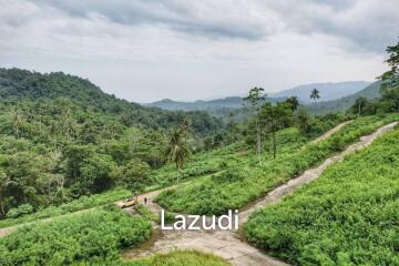 Luxurious Land for Sale in Taling Ngam Ko Samui