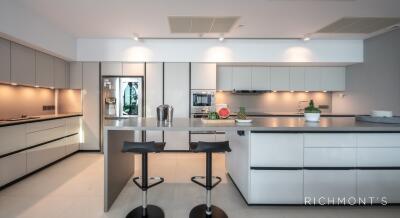 Modern kitchen with sleek design and high-end appliances