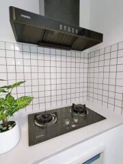 Modern kitchen with stovetop and range hood