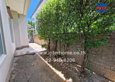 Side yard with walkway and hedges