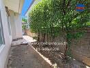 Side yard with walkway and hedges