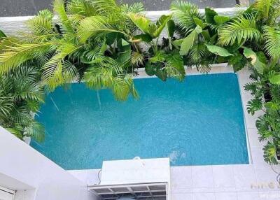 Aerial view of a swimming pool surrounded by lush green plants