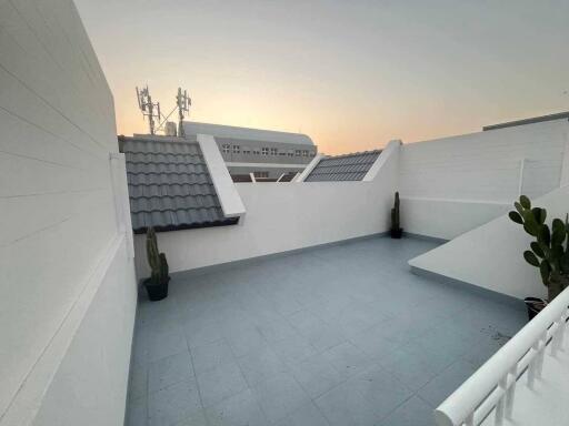 Modern balcony area at sunset with plants and urban view